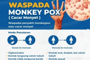 Waspadai penyakit monkeypox atau cacar monyet